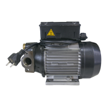 Bomba de Palhetas Piusi 9112-110 Elétrica 110V Óleo Lubrif E-S 1 Polegadas BSP 25Lpm