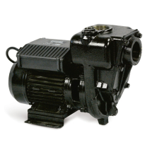 Bomba de Transferência Elétrica 220V Piusi 9123P-500S 550LPM