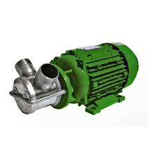 Bomba de Rotor Flexível com Motor Zuwa 9246 1-1-2 Polegadas BSP 140Lpm 220V-60Hz